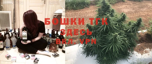 PSILOCYBIN Кодинск