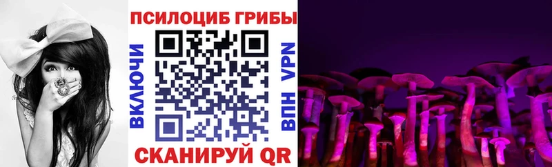 Купить где  Зарайск  Галлюциногенные грибы Psilocybe 